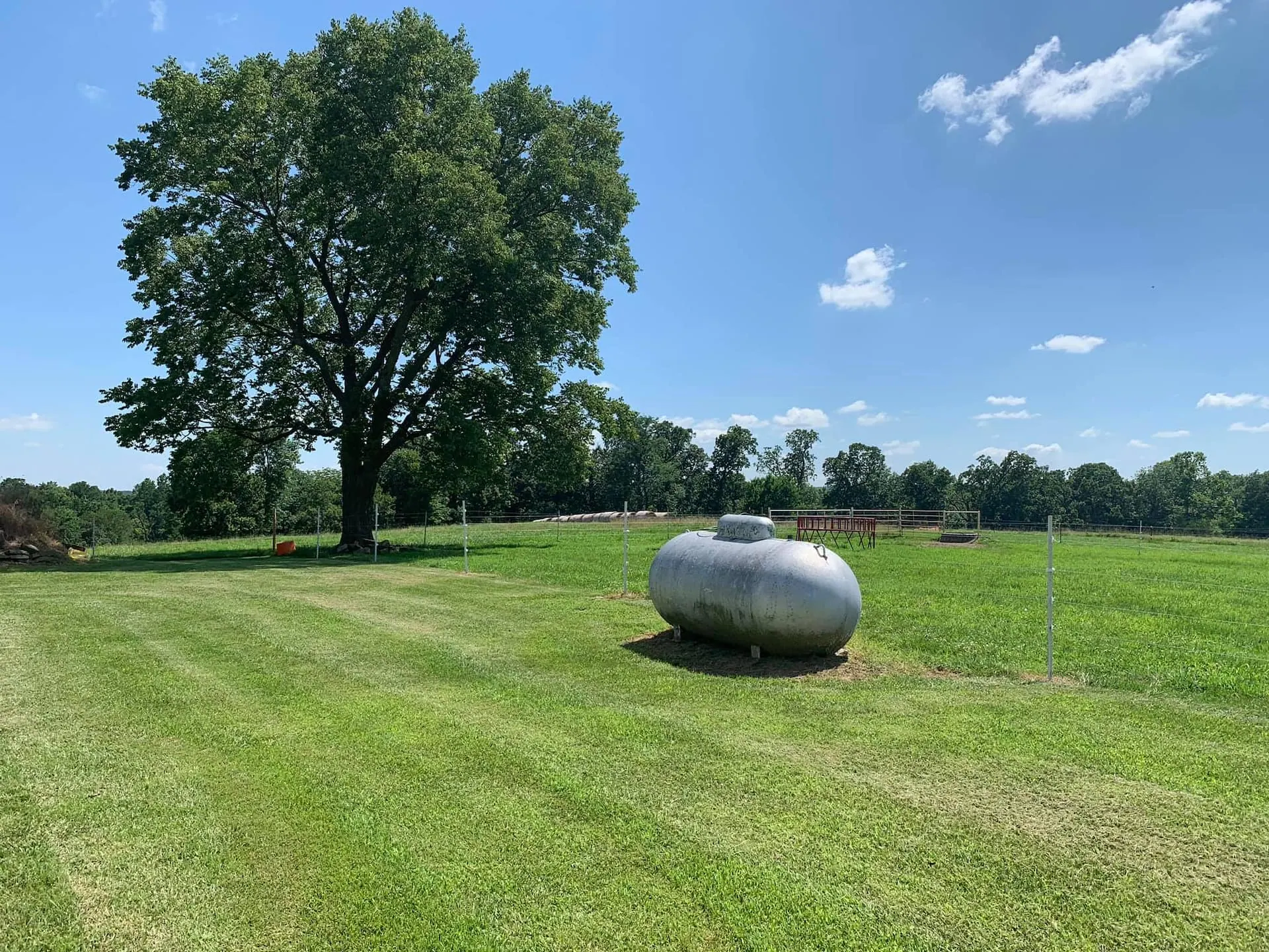 Large shade tree over the mown backyard beside the farmhouse